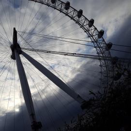 13563269_10205176224723511_2026099214_n